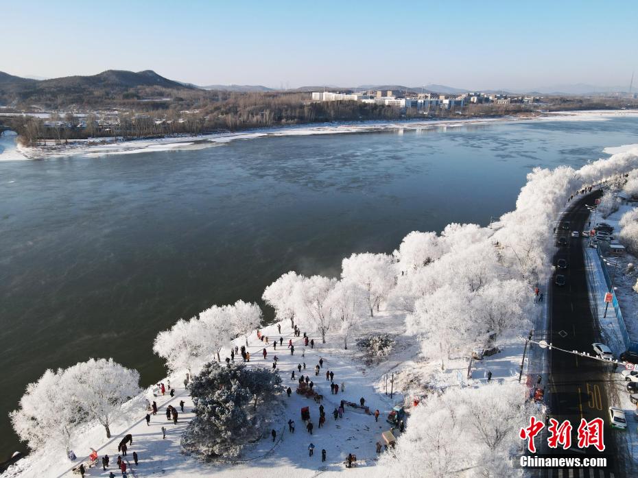 吉林市现2021新年雾凇 松花江岸银装素裹