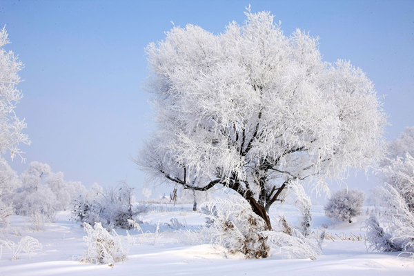 天赋白雪 化为白银:吉林省冰雪旅游产业强势崛起_其它_网